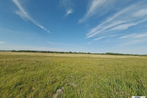 Działka na sprzedaż 16600m2 miechowski Kozłów Kępie - zdjęcie 2