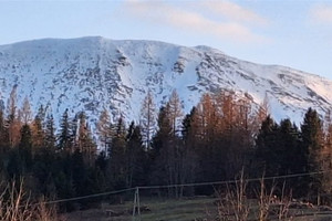 Działka na sprzedaż 9865m2 suski Zawoja - zdjęcie 2