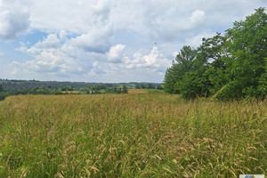 Działka na sprzedaż 17000m2 krakowski Wielka Wieś - zdjęcie 3