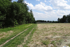 Działka na sprzedaż 4070m2 krakowski Zabierzów Zelków - zdjęcie 2