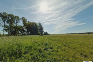 Działka na sprzedaż 16600m2 miechowski Kozłów Kępie - zdjęcie 1