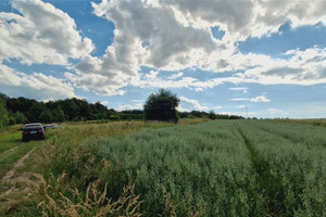 Działka na sprzedaż 4600m2 krakowski Skawina Wola Radziszowska Różana - zdjęcie 2