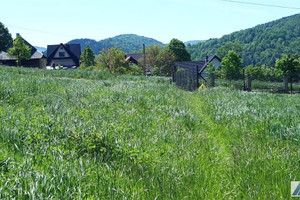 Działka na sprzedaż 2600m2 suski Zawoja - zdjęcie 3