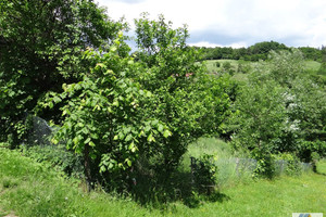 Działka na sprzedaż 900m2 krakowski Krzeszowice Paczółtowice - zdjęcie 2