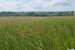 Działka na sprzedaż 17000m2 krakowski Wielka Wieś - zdjęcie 1