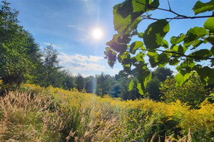 Działka na sprzedaż 10000m2 Kraków Swoszowice - zdjęcie 2