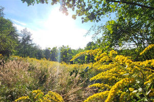 Działka na sprzedaż 10000m2 Kraków Swoszowice - zdjęcie 3