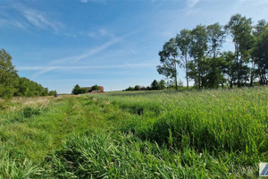 Działka na sprzedaż 16600m2 miechowski Kozłów Kępie - zdjęcie 3