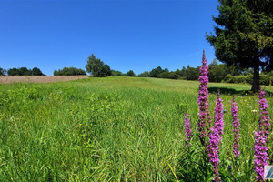 Działka na sprzedaż 5500m2 krakowski Skawina Wola Radziszowska - zdjęcie 1