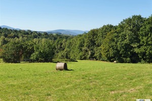 Działka na sprzedaż 17500m2 wielicki Gdów Zagórzany - zdjęcie 1