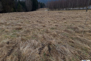 Działka na sprzedaż 2700m2 suski Zawoja - zdjęcie 2