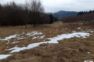 Działka na sprzedaż 2700m2 suski Zawoja - zdjęcie 3