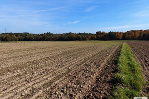 Działka na sprzedaż 7369m2 wadowicki Brzeźnica Paszkówka - zdjęcie 3