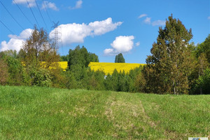 Działka na sprzedaż krakowski Skawina Radziszów - zdjęcie 1