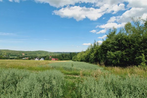 Działka na sprzedaż 4600m2 krakowski Skawina Wola Radziszowska Różana - zdjęcie 3