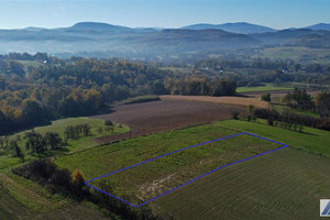 Działka na sprzedaż 2024m2 bocheński Łapanów Tarnawa - zdjęcie 1