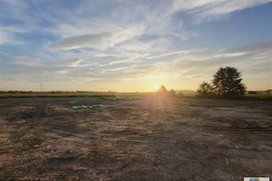 Działka na sprzedaż 7200m2 krakowski Czernichów Wołowice - zdjęcie 1