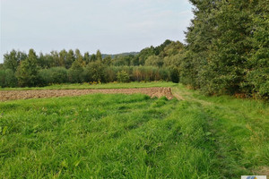 Działka na sprzedaż 8500m2 krakowski Skawina Wola Radziszowska - zdjęcie 2