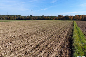 Działka na sprzedaż 7369m2 wadowicki Brzeźnica Paszkówka - zdjęcie 2