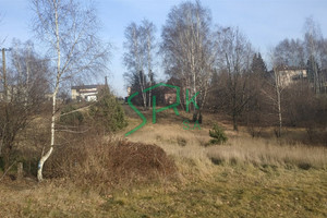 Działka na sprzedaż 6520m2 Rybnik - zdjęcie 2