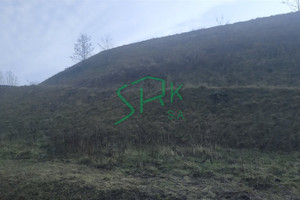 Działka na sprzedaż 100483m2 Rybnik - zdjęcie 1