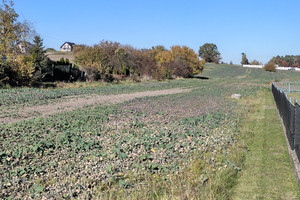 Działka na sprzedaż 5274m2 tarnogórski Świerklaniec - zdjęcie 1