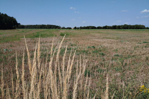 Działka na sprzedaż 800m2 tarnogórski Zbrosławice - zdjęcie 1