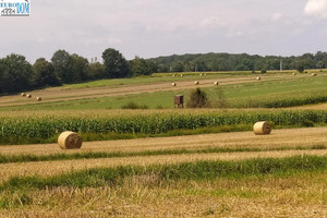 Działka na sprzedaż 1046m2 tarnogórski Zbrosławice - zdjęcie 1