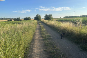 Działka na sprzedaż 672m2 będziński Bobrowniki Dobieszowice - zdjęcie 4