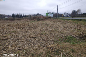 Działka na sprzedaż 4723m2 tarnogórski Świerklaniec Orzech - zdjęcie 2