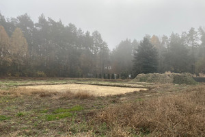 Działka na sprzedaż zgierski Stryków Swędów Piękne Miejsce - działka przy lesie - zdjęcie 3