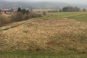 Działka na sprzedaż 10000m2 wałbrzyski Głuszyca Łomnica Sudecka - zdjęcie 3