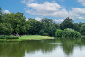 Mieszkanie na sprzedaż 29m2 Wrocław Krzyki Borek Pułtuska - zdjęcie 1