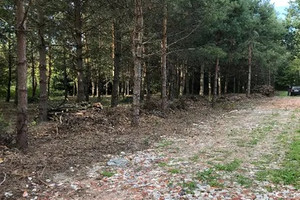 Działka na sprzedaż 3400m2 piaseczyński Piaseczno Mieszkowo - zdjęcie 1