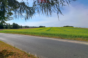 Działka na sprzedaż 32300m2 iławski Iława Tynwałd - zdjęcie 1