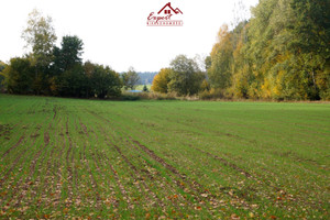 Działka na sprzedaż 3000m2 iławski Iława Gulb - zdjęcie 2