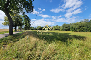 Działka na sprzedaż 4161m2 ostródzki Ostróda Wirwajdy - zdjęcie 2