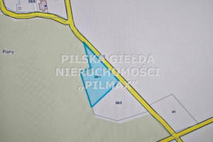 Działka na sprzedaż 4672m2 pilski Ujście Nowa Wieś Ujska - zdjęcie 3