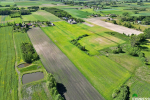 Działka na sprzedaż 31947m2 łęczyński Cyców Świerszczów - zdjęcie 3