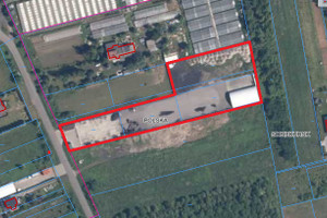 Działka do wynajęcia 8700m2 otwocki Karczew Sobiekursk - zdjęcie 2