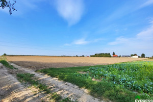 Działka na sprzedaż 10900m2 lubelski Niemce Dziuchów - zdjęcie 2