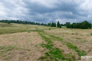 Działka na sprzedaż 2617m2 kłodzki Stronie Śląskie Polna - zdjęcie 3