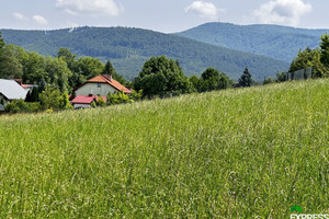 Działka na sprzedaż 3200m2 bielski Jaworze Ustronna - zdjęcie 1