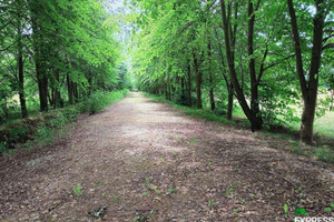 Działka na sprzedaż 5148m2 miński Dębe Wielkie Celinów Polnych Kwiatów - zdjęcie 1