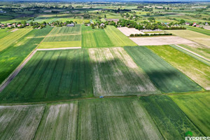 Działka na sprzedaż 21900m2 łęczyński Cyców Świerszczów - zdjęcie 3