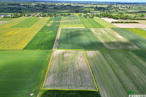 Działka na sprzedaż 9900m2 łęczyński Cyców Świerszczów - zdjęcie 1