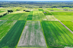 Działka na sprzedaż 21900m2 łęczyński Cyców Świerszczów - zdjęcie 2