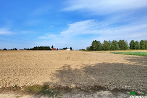 Działka na sprzedaż 10900m2 lubelski Niemce Dziuchów - zdjęcie 3