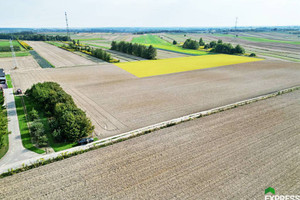 Działka na sprzedaż 10900m2 lubelski Niemce Dziuchów - zdjęcie 1