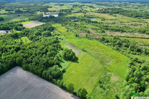 Działka na sprzedaż 12100m2 łęczyński Cyców Świerszczów - zdjęcie 3